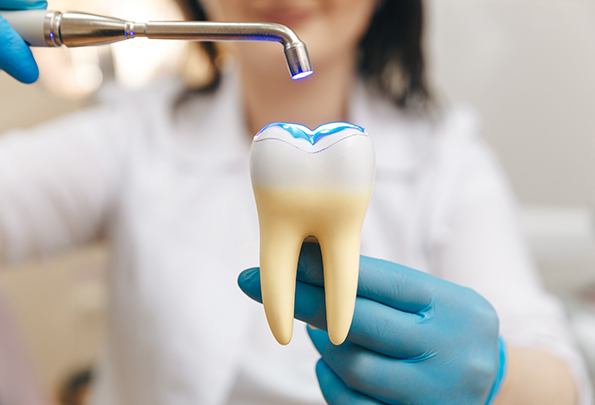 a dentist holding up a light to a model of a tooth